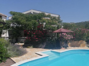 Sunny pool apartments